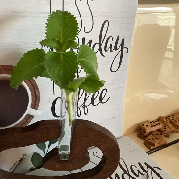 NEW HANDCRAFTED WOOD UNIQUE PLANTER OR Decorative piece by piperpond furniture - Picture 3 of 9